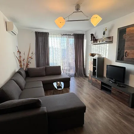 Apartment Warm And Stylish At Coresi *