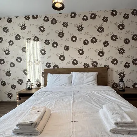 公寓 Warm And Stylish At Coresi 布拉索夫